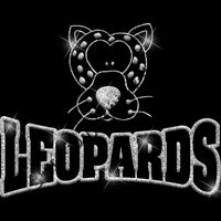 GLT32 SILVER GLITTER Thumbnail